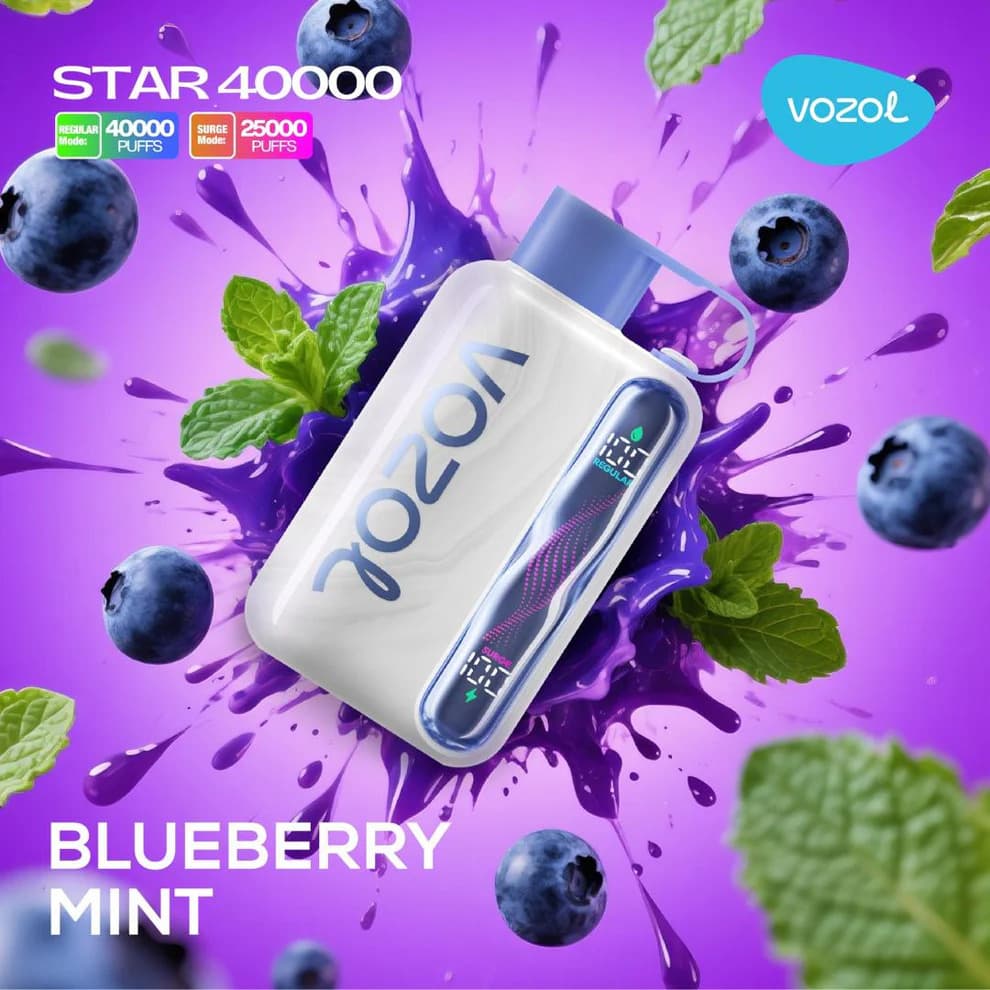 Vozol Star 40000 Blueberry Mint