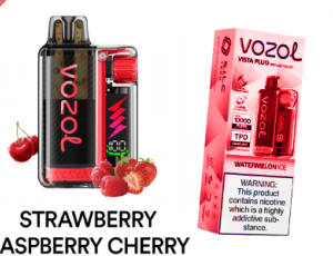 Vozol Vista 20000: Strawberry Raspberry Cherry