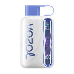 Vozol Star 40000 Blueberry Watermelon